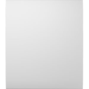 Ajax CenterButton (1-gang/2-way) WHITE