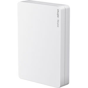 RG-RAP1260